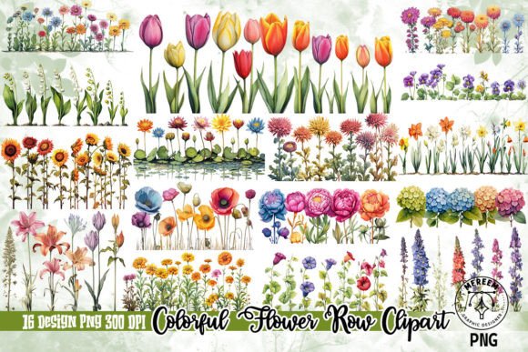 Download Colorful Flower Row Clipart PNG - Colorful flower Collection